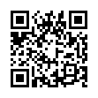 qBittorrent v5.1.1.10增强便携版-趣奇资源网-第13张图片