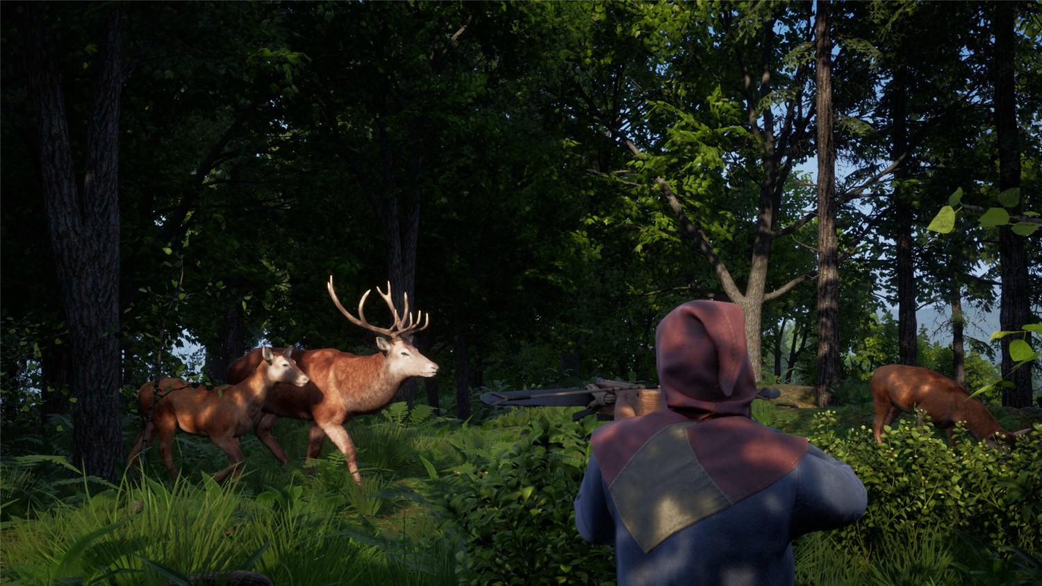 《中世纪王朝》v2.4.0.5中文版-趣奇资源网-第5张图片 《中世纪王朝》v2.4.0.5中文版-趣奇资源网-第5张图片