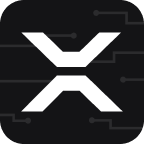 安卓迅雷浏览器v1.0.5.1466纯净版-趣奇资源网-第4张图片